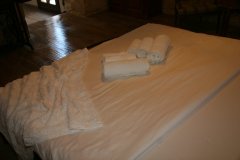 IMG_7492-FILEminimizer