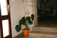 IMG_7576-FILEminimizer