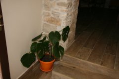 IMG_7578-FILEminimizer