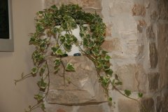 IMG_7580-FILEminimizer