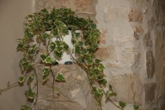 IMG_7581-FILEminimizer