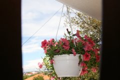 IMG_7639-FILEminimizer