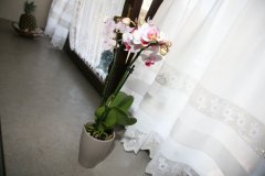 IMG_7653-FILEminimizer