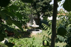 Apartments_Sena_Pula-39